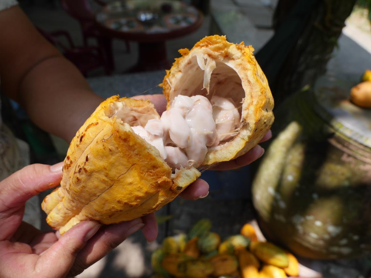 芹苴 清化旅馆酒店 外观 照片